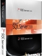 скачать SQL Server 2008 Enterprise Rus (x86 x64) на компьютер торрент